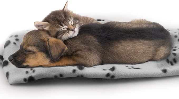 Comsmart Dog Blankets for Small Dogs, 6 Pack Puppy Blanket Cute Paw Print Pet Blanket for Dog, Puppy, Cat, Kitten, 24x28 inches, Grey