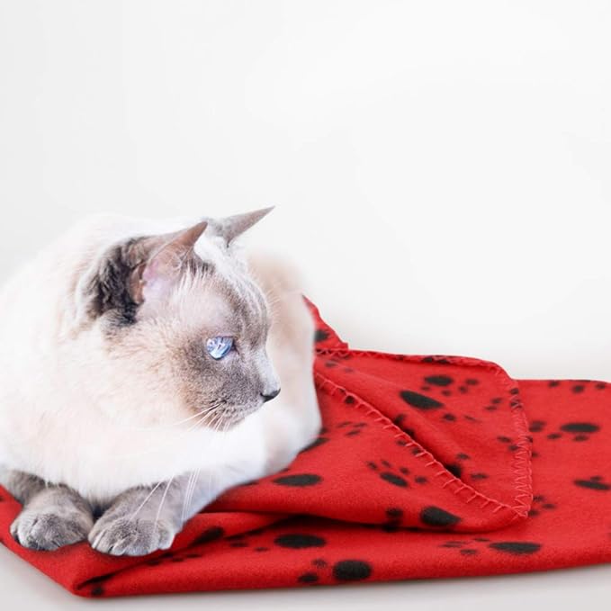 Comsmart Dog Blankets for Small Dogs, 6 Pack Puppy Blanket Cute Paw Print Pet Blanket for Dog, Puppy, Cat, Kitten, 24x28 inches, Red