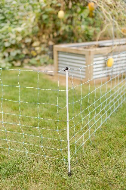 All-Purpose Utility Netting (35" x 164') Electric Fence for Goats, Sheep, Gardens, Beehives, Dogs, and More for Backyards, Homesteads, Farms and Ranches