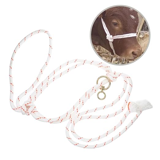 Gatuida Cattle and Sheep Management Cattle Bull Ropes Farm Livestock Training Halter Sheep Goat Halter Barn Cow Cattle Safety Halter Cattle Halter Rope Cow Turn Out Cord Cows Metal White