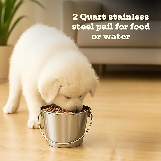 2 quart Heavy Duty Stainless Steel Round Bucket with Handle | 0.5 gal Sturdy Food & Water Bowl for Small Birds Dog Cat & Livestock | Fits kennel Crate Cage Farm | Hanging Utility Pet Pail