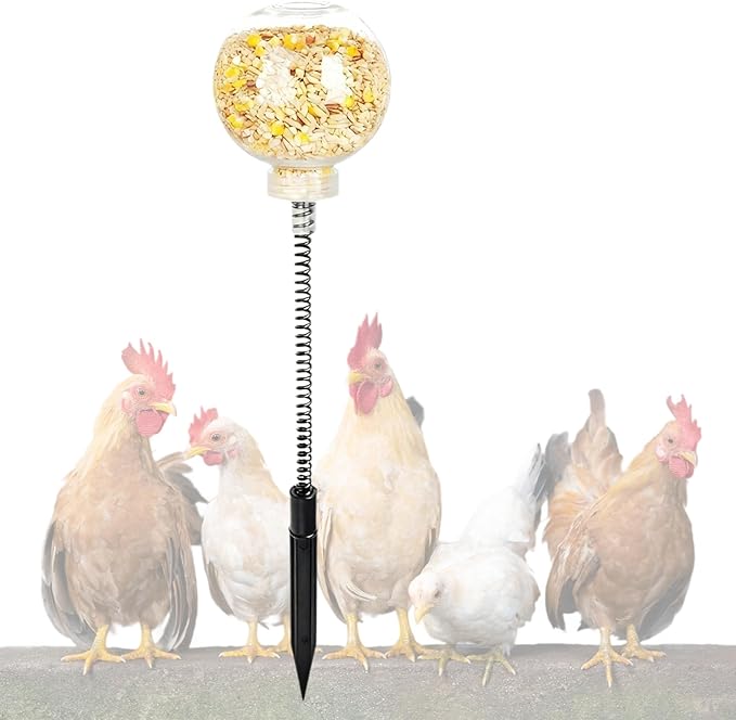 2PCS Chicken Peck Toys Poultry Enrichment Swing & Slow Feeder Chicken Treat Dispenser for Hens Ducks Birds and Parrots Transparent Coop Toys for Fun & Feeding