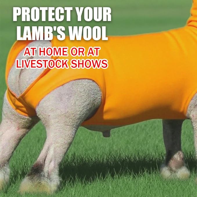 Spandex Goat Tube for Show Goats - Show Livestock Supplies: Goat Covers & Blankets Rich in Color (Medium, Large) (Orange, Large)