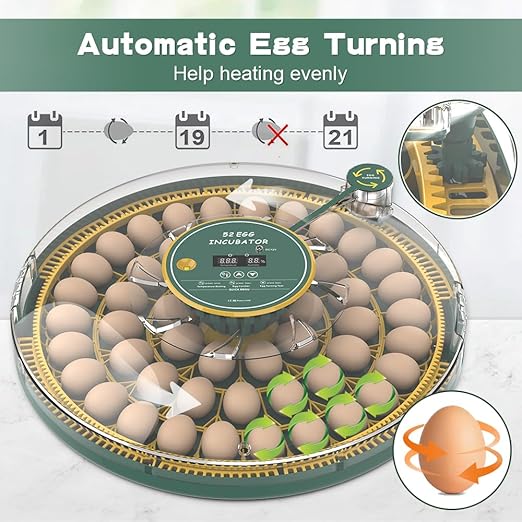 HOWOOlUA 52 Egg Incubator for Hatching Eggs with Auto Turn, Temp Control & Humidity Display, Built-in Candler Large Capacity Egg Incubator for Chicken Quail Duck Goose Eggs (52A-Green)