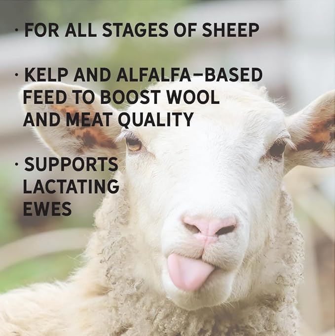 New Country Organics | Sheep Feed for Lactating Ewes and General Maintenance | Soy-Free | 13% Protein | Certified Organic and Non-GMO | 40 lbs Bag