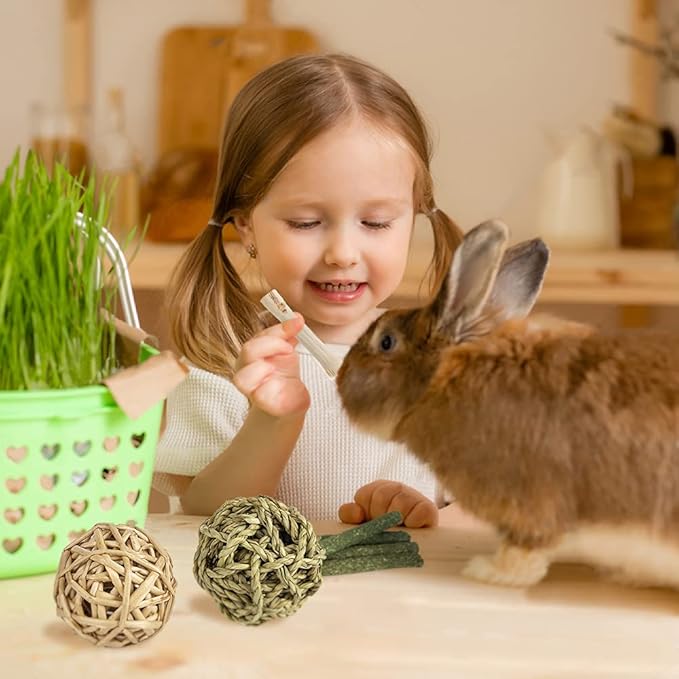 Sofier Rabbit Toys Bunny/Guinea Pig Toys Natural Timothy Hay Hamster for Teeth Handmade Chews and Treats Apple Wood Sticks Chinchilla Rat
