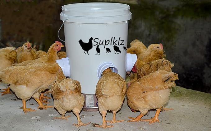 DIY Chicken Feeder Ports Rain Proof Gravity Feed Kits for Buckets, Bins, Troughs and More, 8 Ports