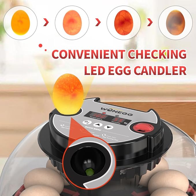 12 Egg Digital Incubator Automatic Egg Turner, Humidity Control & LED Candler for Hatching Chicken, Duck, Quail & More with Auto Water Refill