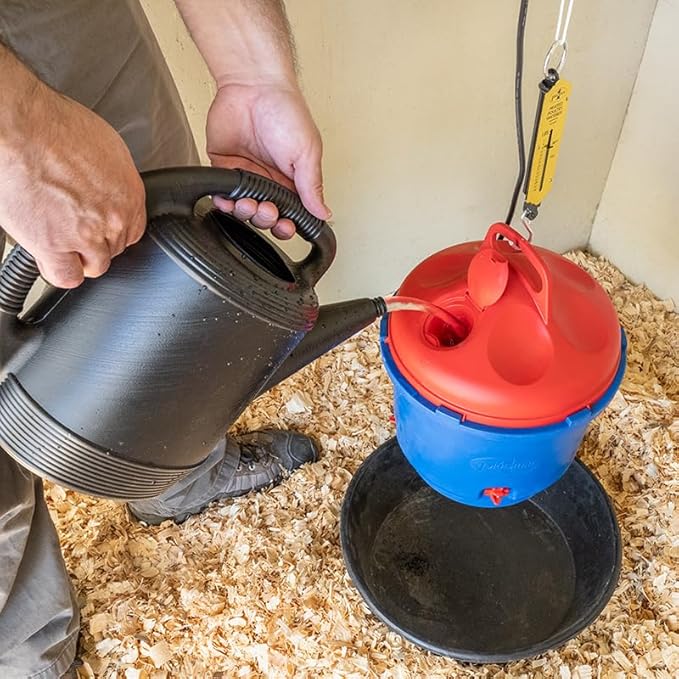 Premier 1 All-Season Heated Poultry Waterer for Chickens and Ducks - 3 Gallon