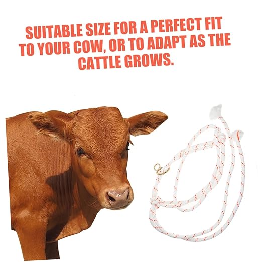 Gatuida Cattle and Sheep Management Cattle Bull Ropes Farm Livestock Training Halter Sheep Goat Halter Barn Cow Cattle Safety Halter Cattle Halter Rope Cow Turn Out Cord Cows Metal White