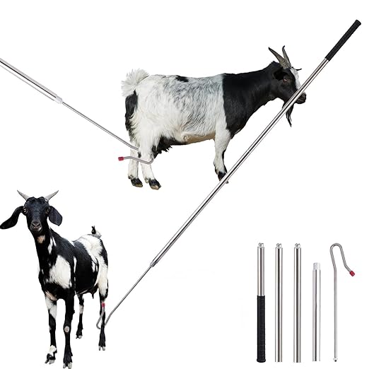 Goat Sheep Catcher Leg Hook, 304 Stainless Steel Sheep Hook Goat Catcher, Length Can Be Adjusted Freely 44"48"59"63"75" Catching Tools, Grab Them Simply and Quickly (Head Rubber Design)