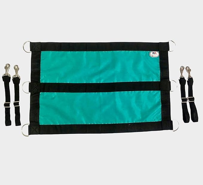 Majestic Ally 1200D 29"x19" Horse Stall Guard with Adjustable Straps and Hardware (Turquoise Black)