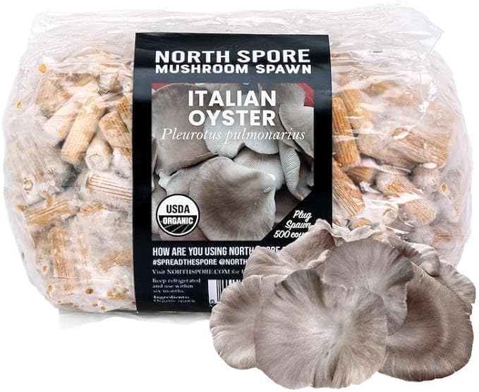 North Spore Organic Italian Oyster (500 ct) Mushroom Plugs for Logs | Premium Quality Mushroom Plug Spawn | Handmade in Maine, USA | Grow Gourmet Mushrooms Outdoors on Logs
