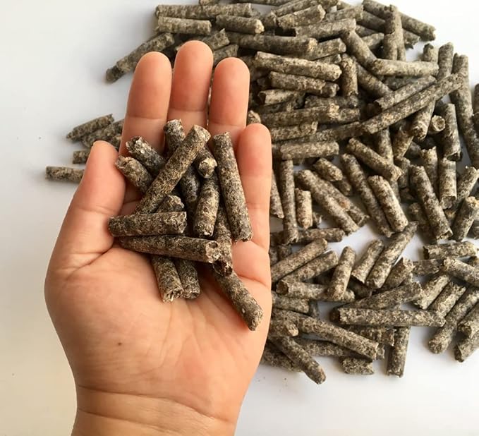 Smart Beet Pellets for Feeding - Horse, Pony, Goat, Cattle Feed - Good for Brain Health and Natural Sweetener (10 Pounds)