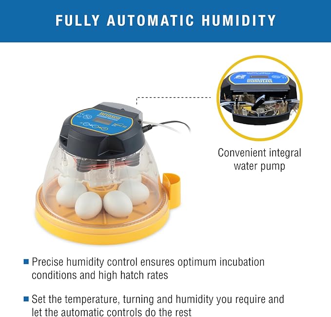 Brinsea Mini II EX Egg Incubator with Automatic Humidity Control and Egg Turning for Hatching 7 Chicken, Duck, Other Bird Eggs, Precision Digital Controls, Temperature Alarms