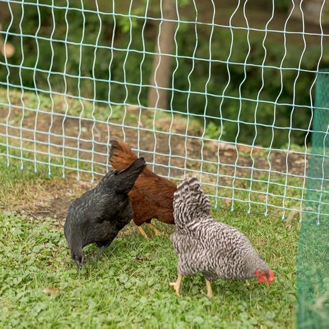 Starkline 48" x 164' Premium Electric Poultry Netting Solar Kit | White/Blue All-in-One Solar Electric Fence Kit for Backyards, Homesteads, Farms, and Ranches