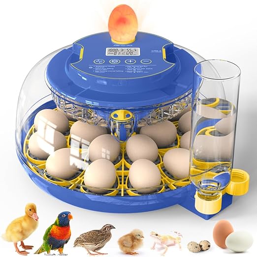 18 Eggs Incubator for Hatching Eggs, Temp and Humidity Control, 360°View Auto Water Adding, Egg Candler Egg Turning Countdown Hatching Days Display Incubators (23-AGREEN) (18-Blue)