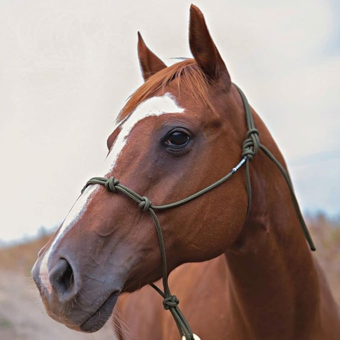 Horse Rope Training Halter - 4 Knot 1/4" Stiff Halter Cord - Used by Famous Trainers Multiple Sizes Multiple Colors