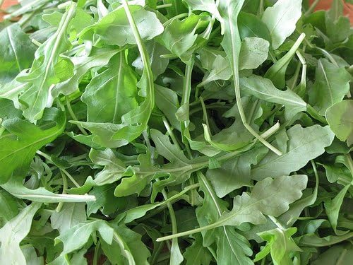 Bulk Non GMO Arugula Seeds (1/2 lb) 82,500 Seeds