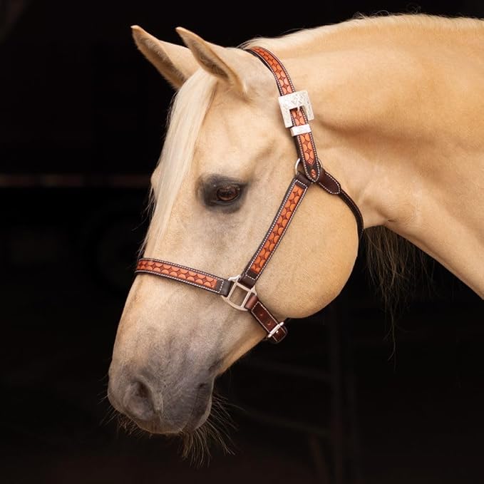 Schneiders Sunburst Ranch Western Show Halter for Horses | Hand-Tooled Leather | Semi-Custom Fit | Silver-Plated Hardware | Elegant Ranch Class Design