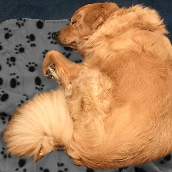 Comsmart Dog Blankets for Small Dogs, 6 Pack Puppy Blanket Cute Paw Print Pet Blanket for Dog, Puppy, Cat, Kitten, 39x35 inches, Grey