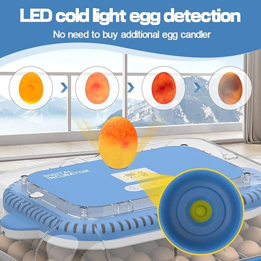 HOWOOlUA 70 Egg Incubator for Hatching Eggs withAuto Turn, Temp & Humidity Control, Built-in CandleLarge Capacity Egg Incubator for Chicken Duck GooseEggs