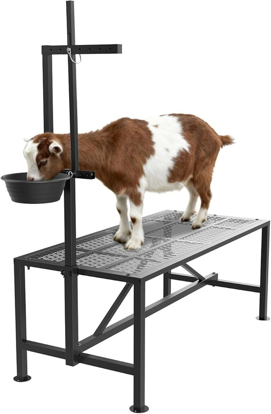 Upgrade Goat Milk Stand with Feed Bin, 400lbs Goat Stand for Grooming & Hoof Trimming, 1mm Thick Platform & Anti-Slip Design, for Pygmy and Dwarf Goats, Firm Head Lock and Adjustable Head