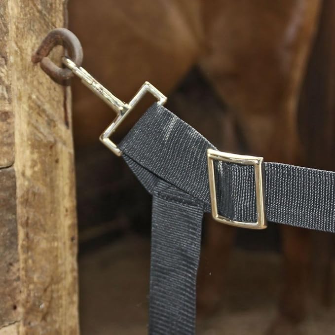Dura-Tech Cordura Stall Guard |