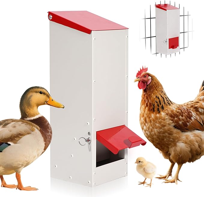 Metal Chicken Feeder No Waste Oyster Shell Feeder 8lbs Hanging Poultry Feeder Automatic Gravity Chicken Food Dispenser with a Lockable Rain Cover
