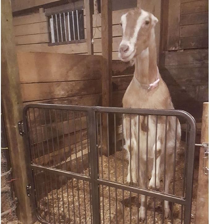 EASY-UP Titan Horse Stall Gates | Heavy-Duty Steel Construction | Rust-Resistant Finish | Ideal for Barn, Farm & Equestrian Use | Straight Gate - 52" Wide | Color Gray Armor