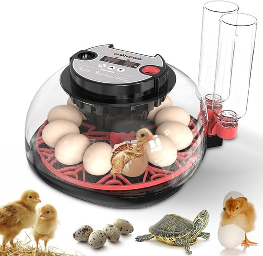12 Egg Digital Incubator Automatic Egg Turner, Humidity Control & LED Candler for Hatching Chicken, Duck, Quail & More with Auto Water Refill