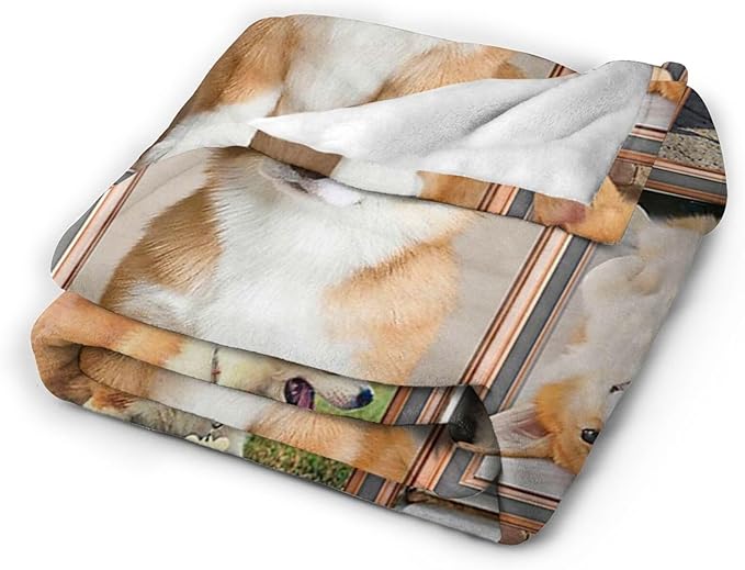 Tijuboni Corgi Throw Blanket Dog Gifts for Girls Boys Women Men Kids Adults Soft Flannel Fleece Blanket for Couch Sofa Bed Home Decor 60"x80"