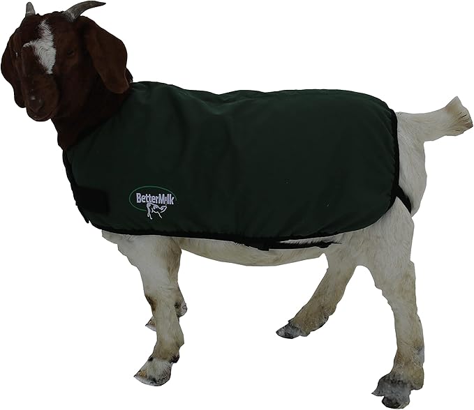 Calf Coat, Warming Blanket for Calves and Livestock, Quilted Cattle Jacket Thats Water Resistant and Protects Animals in Winter and Cold Weather - Large/Holstein