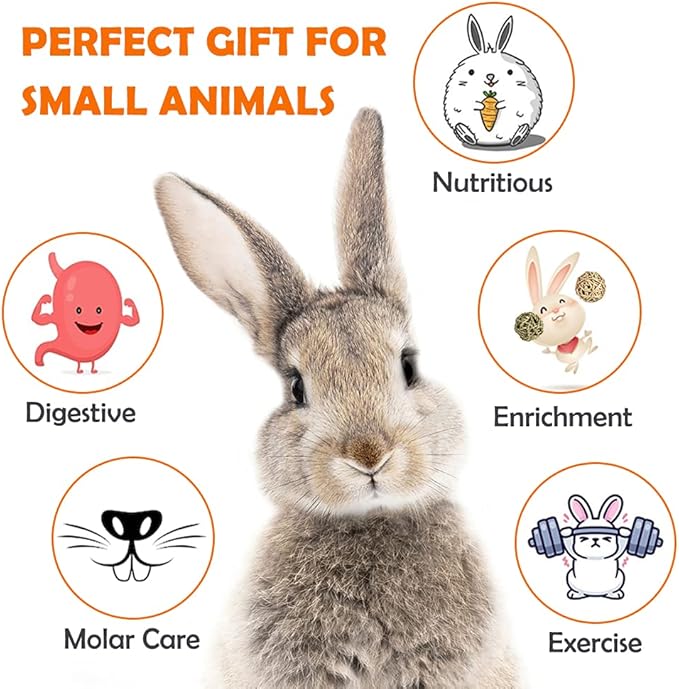 Sofier Rabbit Toys Bunny/Guinea Pig Toys Natural Timothy Hay Hamster for Teeth Handmade Chews and Treats Apple Wood Sticks Chinchilla Rat