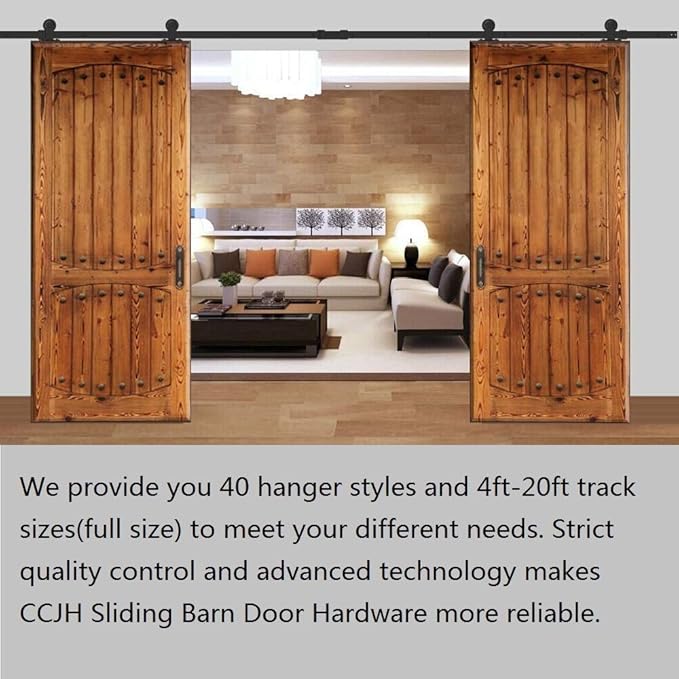 CCJH 10FT Sliding Barn Door Hardware Kit, Heavy Duty, Smoothly and Silently, Easy to Install, Fit 30" Width Double Door Panel, T-Shaped Style Black