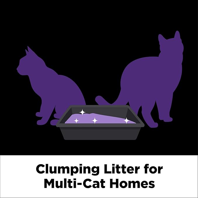 ARM & HAMMER Clump & Seal SLIDE Platinum Multi-Cat Clumping Cat Litter, 14-Day Odor Control, EZ Clean Technology, 37 lbs – No Scrubbing, Powerful Odor Eliminator