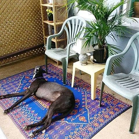 Mad Mats Traditional Outdoor Rug, Reversible Plastic Mat (6' x 9', Oriental Turkish - Blue)