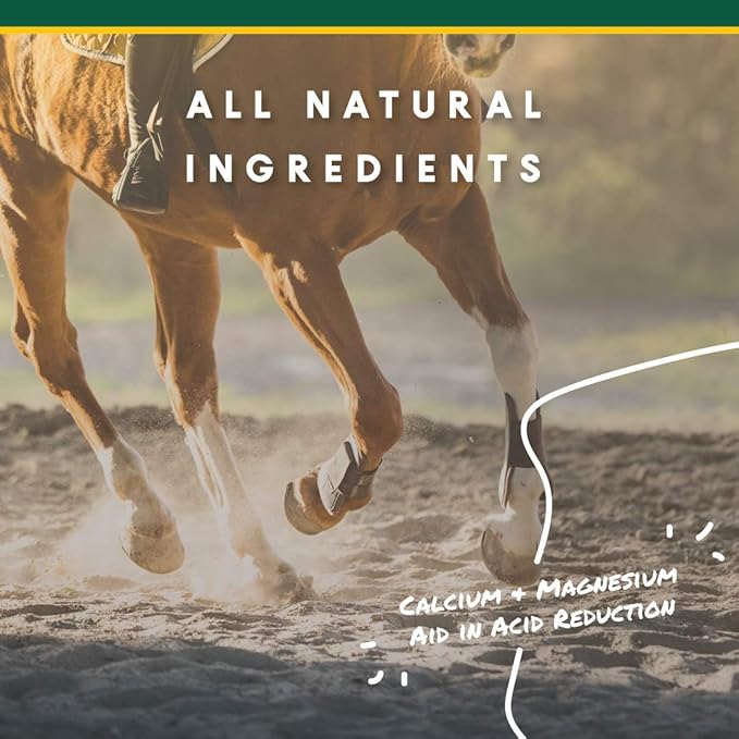 Corta-Flx U-Gard Powder, Equine Digestive Supplement to Maintain Gastric Health , Helps Prevent Ulcer Formation, Supplement for Horses, 8 LB