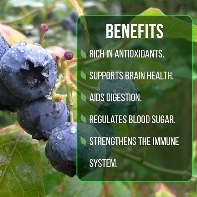 Pink Lemonade Blueberry (Emerald)