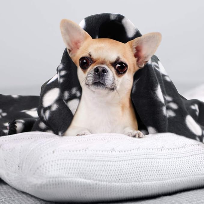 Comsmart Dog Blankets for Small Dogs, 6 Pack Puppy Blanket Cute Paw Print Pet Blanket for Dog, Puppy, Cat, Kitten, 24x28 inches, Black