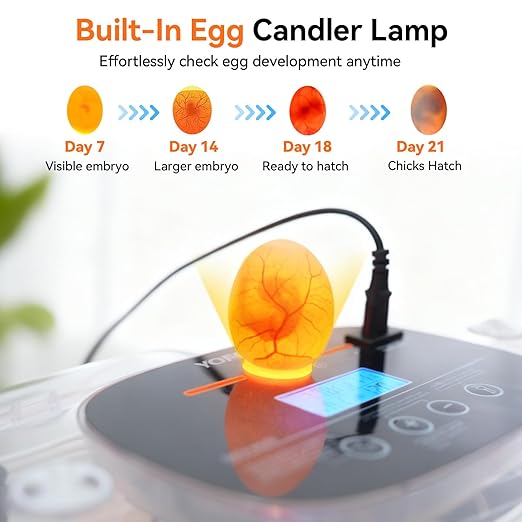 Incubators for Hatching Eggs, 24 Egg Incubator, Automatic Egg Turner with Humidity Control & Digital Temperature, Hatch Day, Auto Water Refill, 360°Viewing for Chicken, Duck, Quail, Duck, Goose