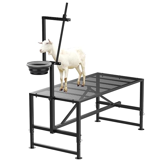 Goat Milking Stand with Feed Bin, Stand for Goat Milk and Shepp Trimming Hooves, with Adjustable Head Piece and Legs, Metal Black Use for Small Goat and Sheep, 400 Lbs