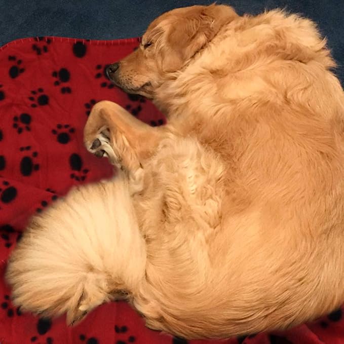 Comsmart Dog Blankets for Small Dogs, 6 Pack Puppy Blanket Cute Paw Print Pet Blanket for Dog, Puppy, Cat, Kitten, 39x35 inches, Red