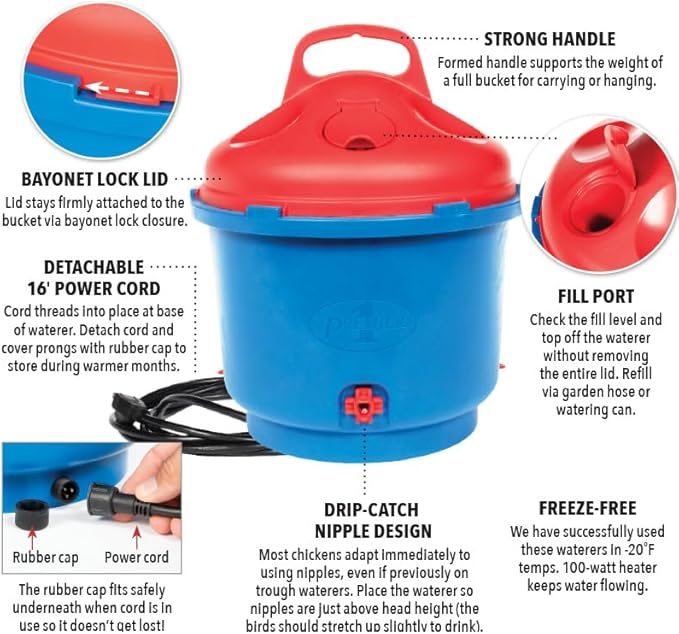 Premier 1 All-Season Heated Poultry Waterer for Chickens and Ducks - 3 Gallon