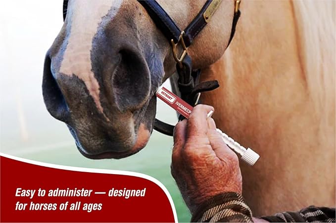 Horse Gel Paste 1.87% – 6 - Pack, 6.08g Each, Accurate Feeding for Horses up to 1,250 lbs, Boosts Growth & Energy