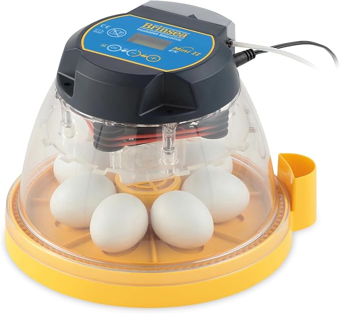 Brinsea Mini II EX Egg Incubator with Automatic Humidity Control and Egg Turning for Hatching 7 Chicken, Duck, Other Bird Eggs, Precision Digital Controls, Temperature Alarms
