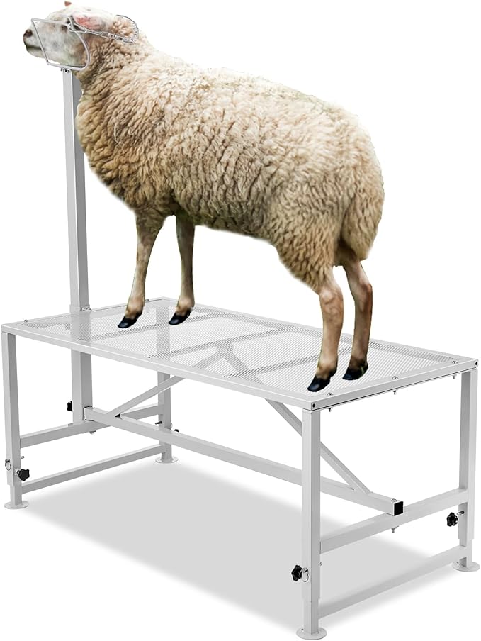 VEVOR Goat Milking Stand - 47x23 inch Metal Livestock Shearing Stand, Adjustable Height 21" to 33", with Headpiece and Nose Loop, 500lbs Capacity, Perfect for Sheep and Goats, White