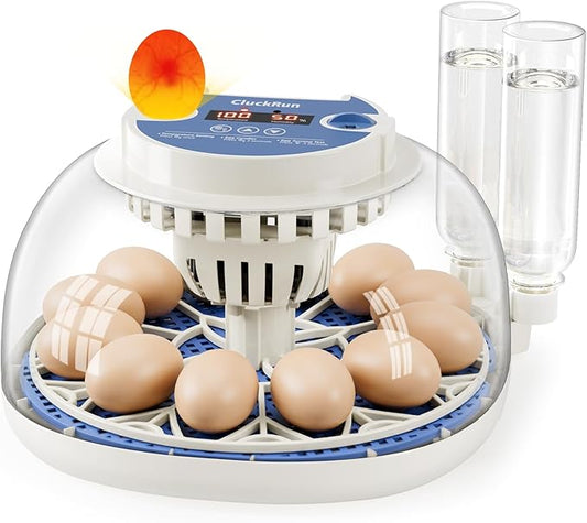 Egg Incubator, Temperature and Humidity Display, Automatic Egg Turning, Egg Candler, Incubators for Hatching Eggs, Auto External Water Bottle Refill, 12 Egg Incubator for Chicken Quail Duck Bird