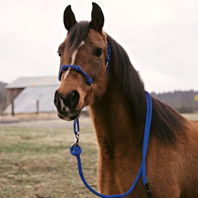 Horse Rope Training Halter - 4 Knot 1/4" Stiff Halter Cord - Used by Famous Trainers Multiple Sizes Multiple Colors