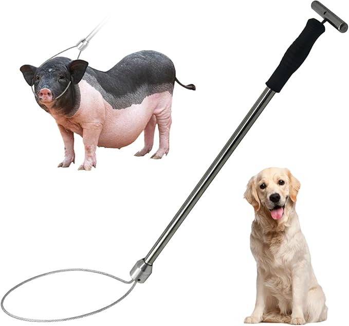 Animal Catch Pole, 19in Stainless Steel Adjustable Ring Catcher for Dog Pig Control, Heavy Duty Farm Animal Handling Tool